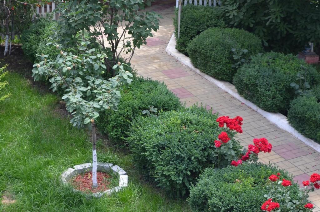 Гостевой дом Cristalex Villaverde Bucharest Бухарест-53