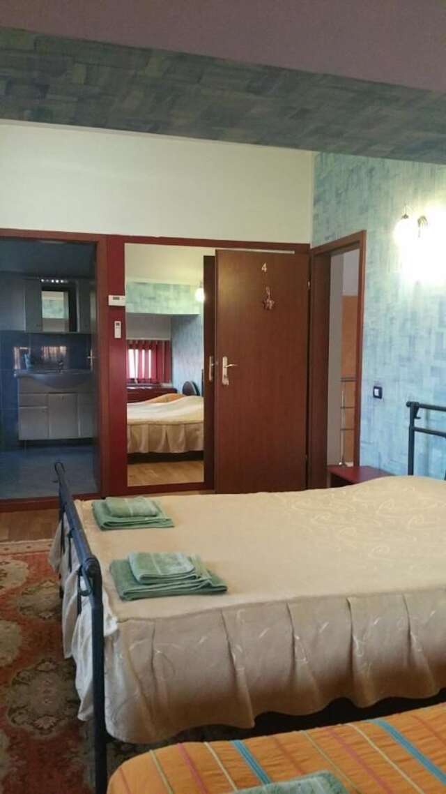 Гостевой дом Cristalex Villaverde Bucharest Бухарест-12